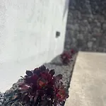 Apartment Sombra De Guanapay Teguise (Lanzarote)