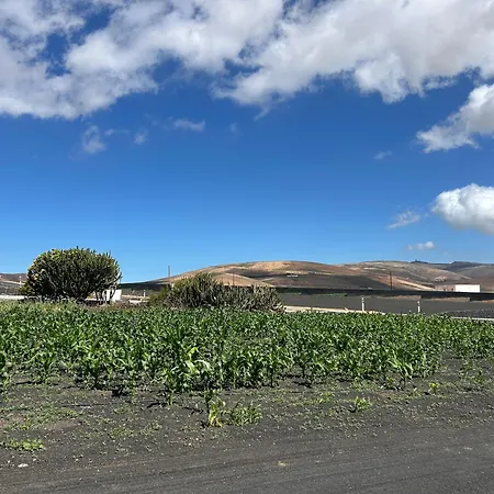 Sombra De Guanapay * Teguise (Lanzarote)