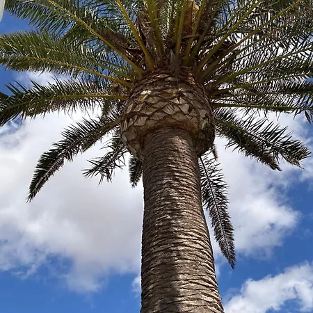 Sombra De Guanapay דירה