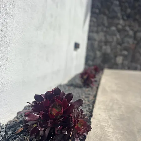 Apartment Sombra De Guanapay Teguise (Lanzarote)