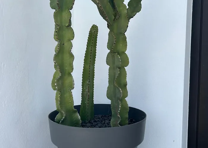 Sombra De Guanapay Διαμέρισμα *