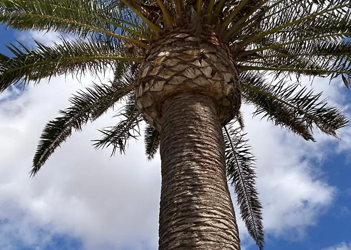 Sombra De Guanapay Διαμέρισμα