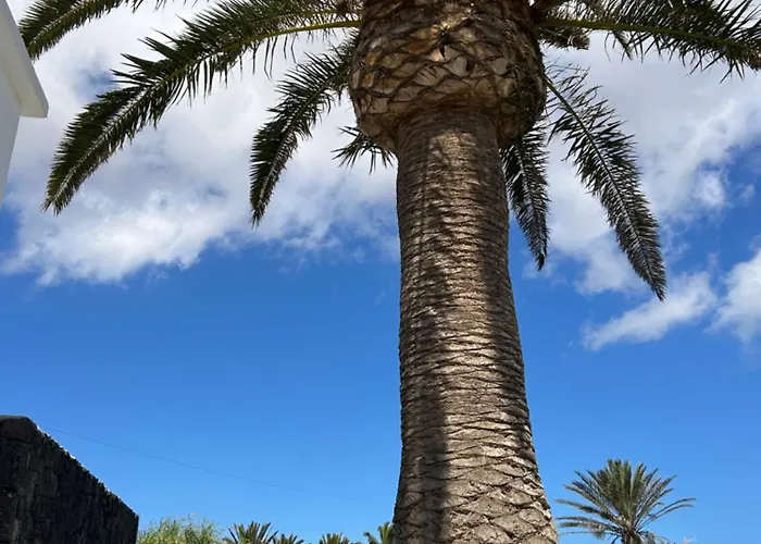 Апартаменты Sombra De Guanapay Тегисе