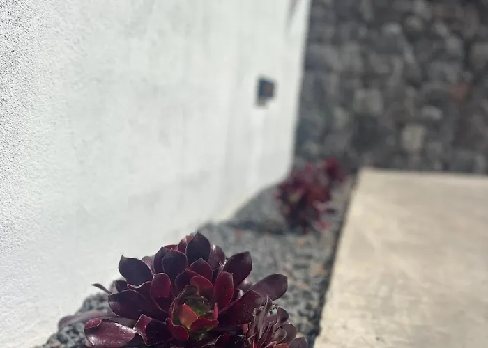 Apartament Sombra De Guanapay Teguise (Lanzarote)