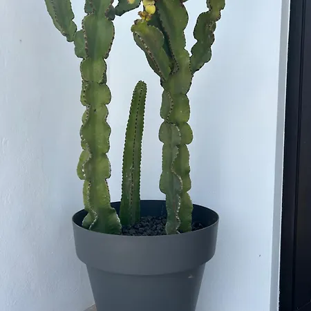 Sombra De Guanapay Apartamento *