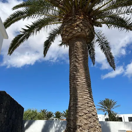 Apartamento Sombra De Guanapay Teguise (Lanzarote)